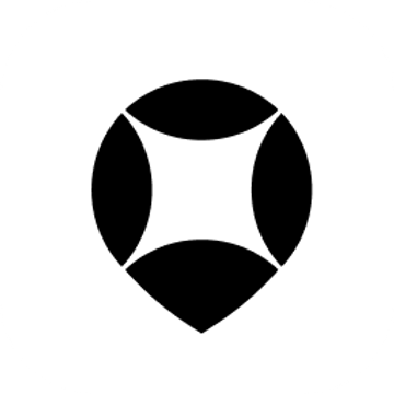Owner (managing director)