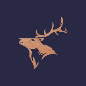 company-logo