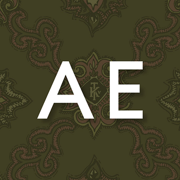 AE FINANCE LTD