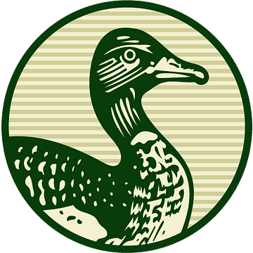 Nexus Financial Services Ltd