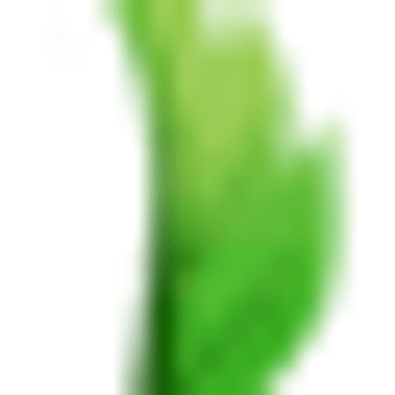 Cleanleaf Cleaning Service