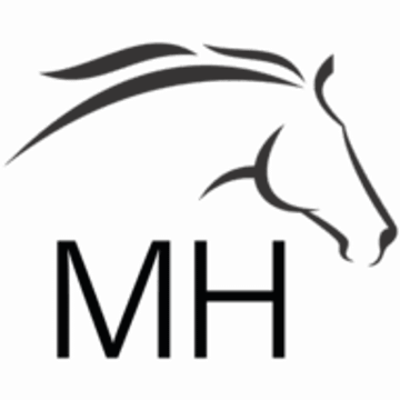 MH Motors Ltd