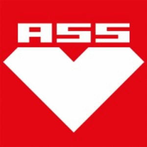 company-logo