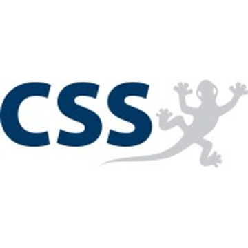 CSS Trading Group Ltd