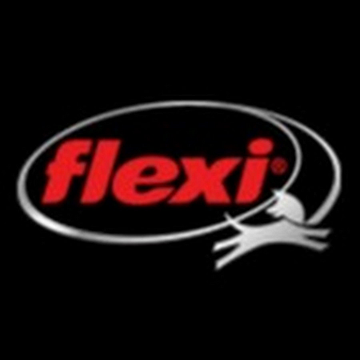 Flexi Agent