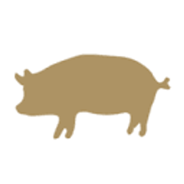 THE PIG
