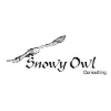 Snowy Owl Consulting, LLC