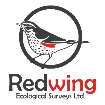 Redwingecology