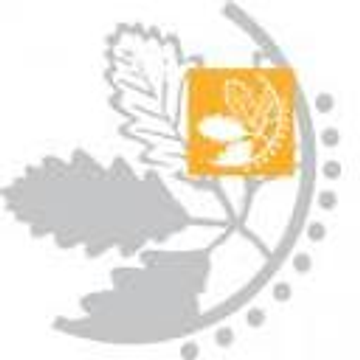 Maxflow Power Products Limited