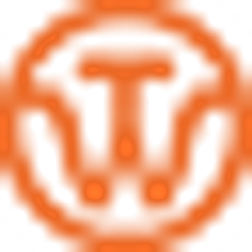 the Y WA