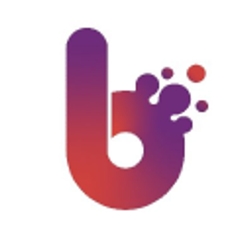 Blinx Solutions