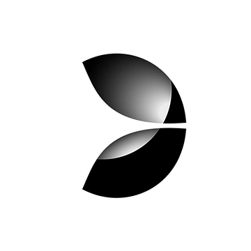 Evolution Growth Partners