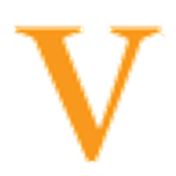 Vivify Consulting