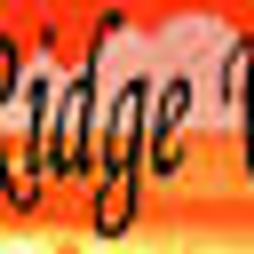 Ridge View Homes