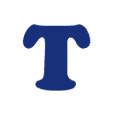 THINK Consulting Solutions Limited