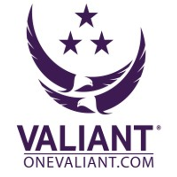 Valiant Integrated Services