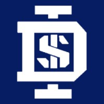 DSI Systems