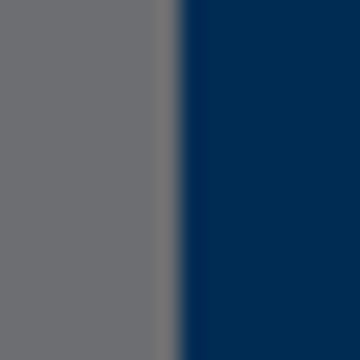Page Personnel Italia SPA