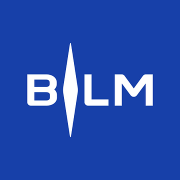 BLM GROUP