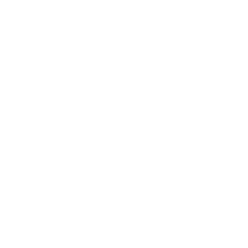 TECHSON