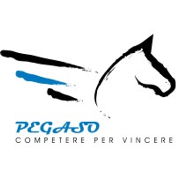 PEGASO INGEGNERIA