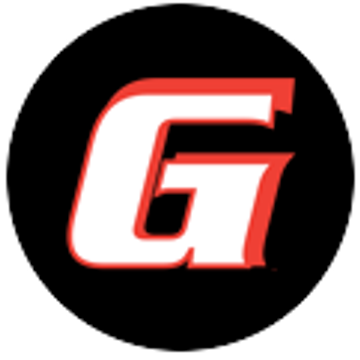 GMS srl