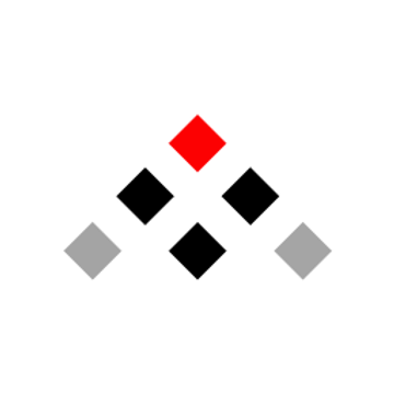 CM advisor srl