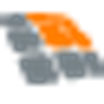 White Swan Data