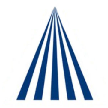 Delta Synergy srl
