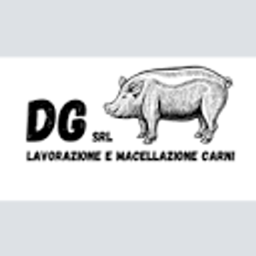 D.G. Group S.r.l.| GmbH