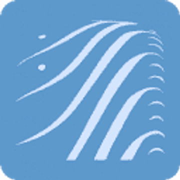 PneusNews Srl