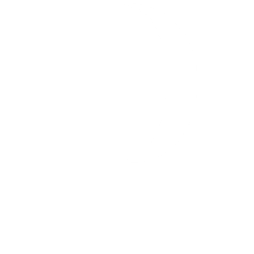 PLURES S.P.A.