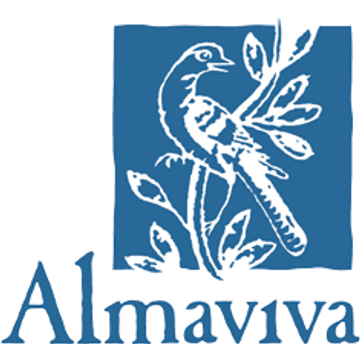 Almaviva Group