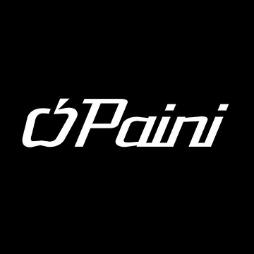 Paini SpA Rubinetterie