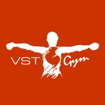 Vst Fs