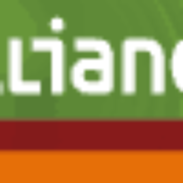 Alliander N.V.