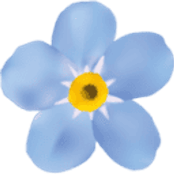 Blumen Vergissmeinnicht GmbH