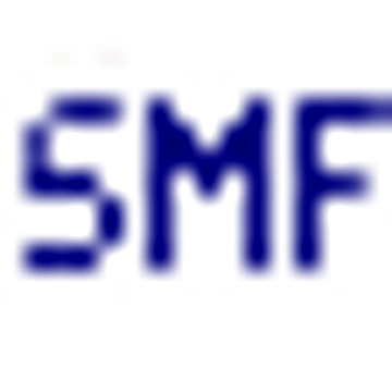SM Finance GmbH