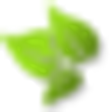 Data Consulting SA