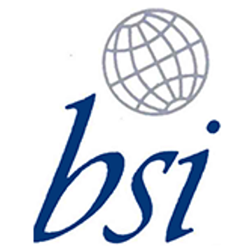 BSI Business Systems Integration AG