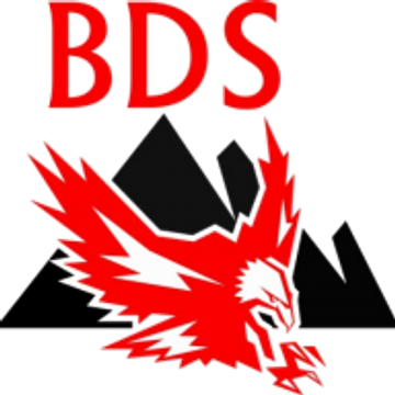 BDS Security Design AG